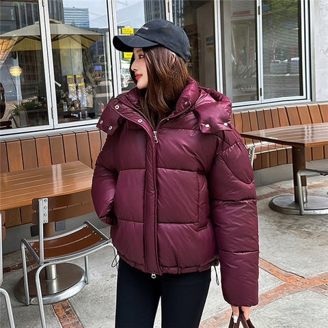 Elegant Fluffy Hooded Puffer Jacket