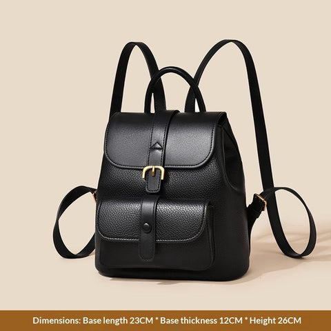 High-end Double-shoulder Backpack Large-capacity