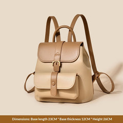 High-end Double-shoulder Backpack Large-capacity